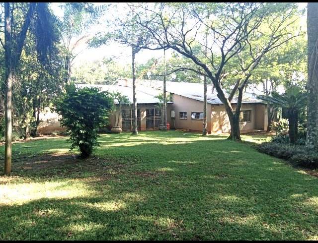 FARM FOR SALE IN LOUIS TRICHARDT RURAL